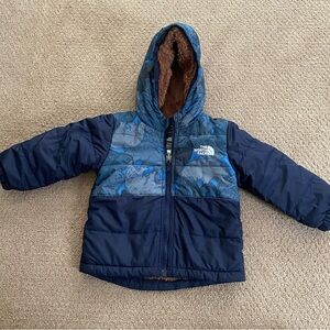Toddler North Face Jacket